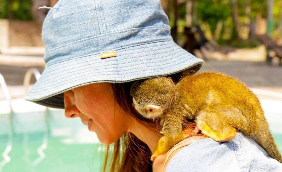 Hotel Karupa Amazonas Летисия Экстерьер фото