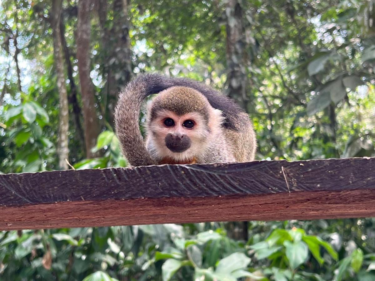 Hotel Karupa Amazonas Летисия Экстерьер фото